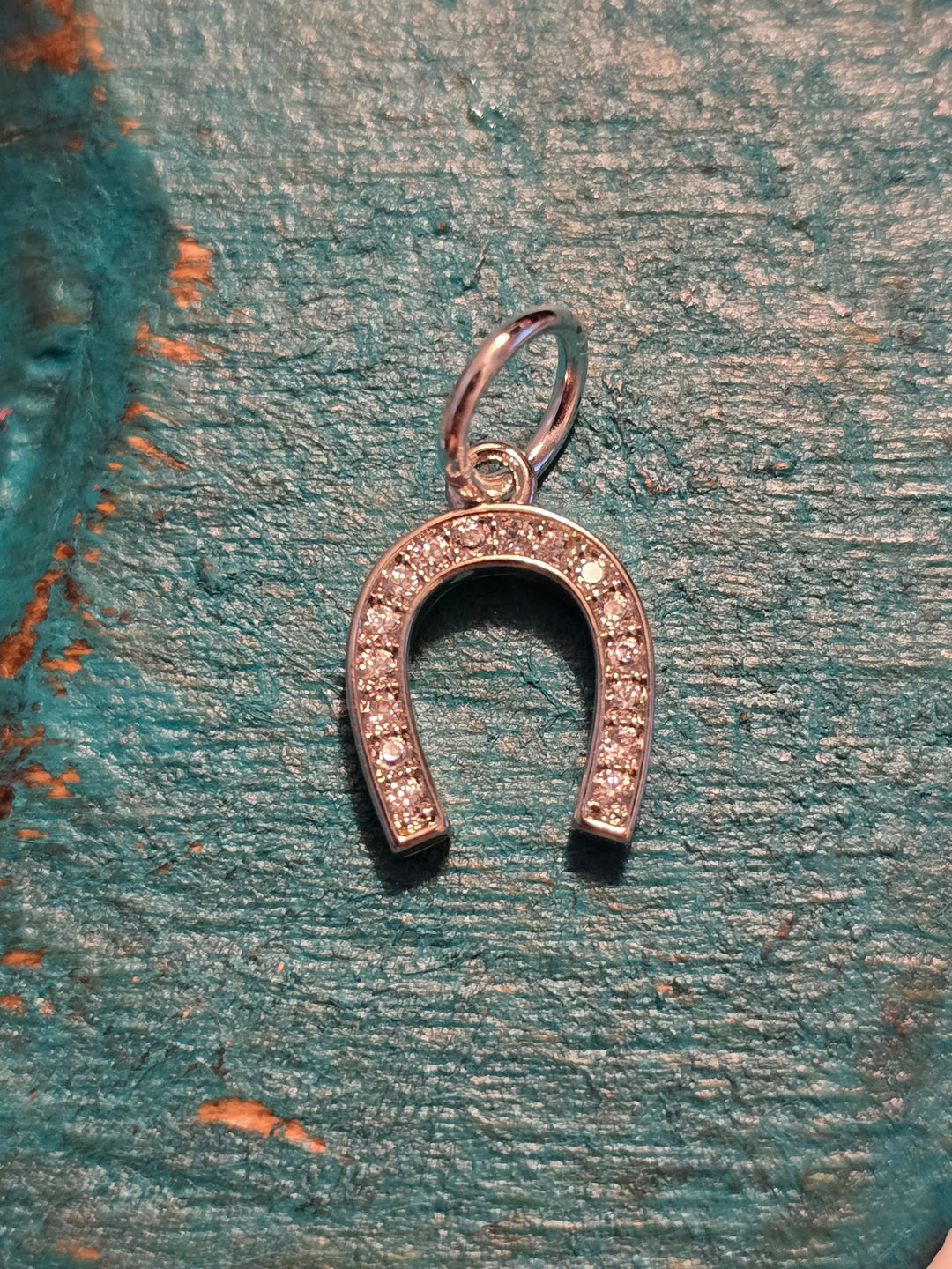 Silver Horseshoe Charm